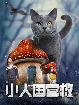 女儿的爱人3