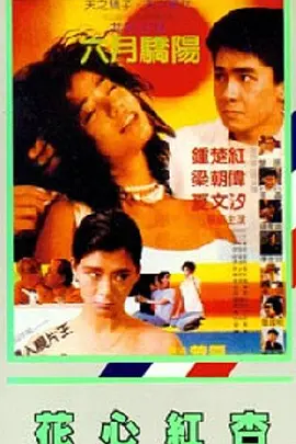 在线免费观看福利