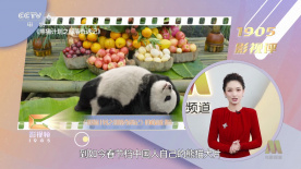 美女3p